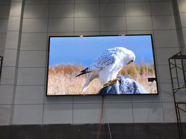 英山茶仙，P2.5,11.46平方