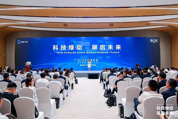 1725692886275962.jpg 2.jpg